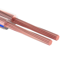 kabel_akusticheskiy_2kh0_50_mm_prozrachnyy_blueline_rexant_dlya_soediniteley_135684-1