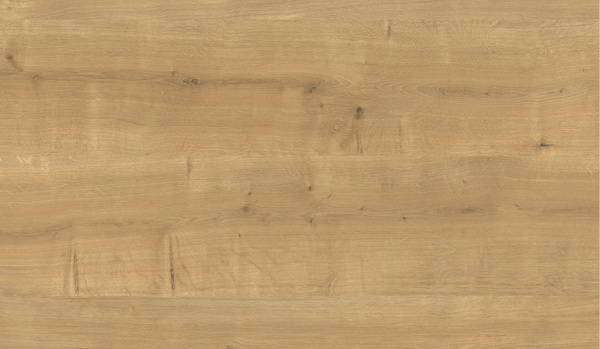 H3303_10_Surface_881x513